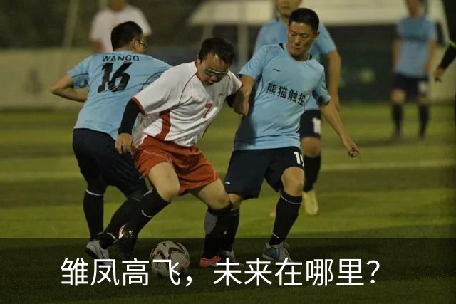 雏凤高飞，未来在哪里？